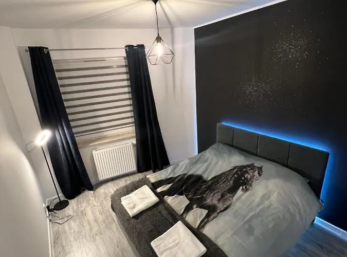 Black Horse 24h Zameldowanie *